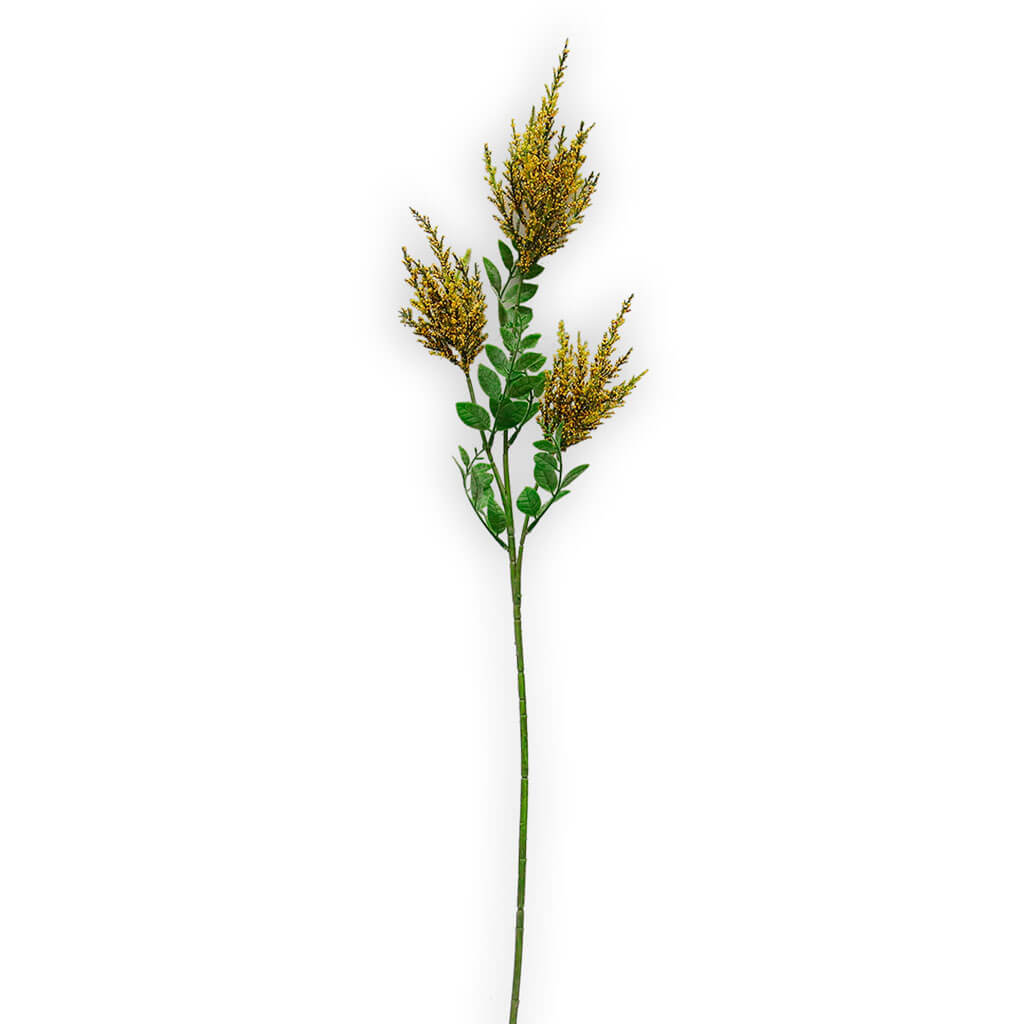 Goldenrod Stem, 36in