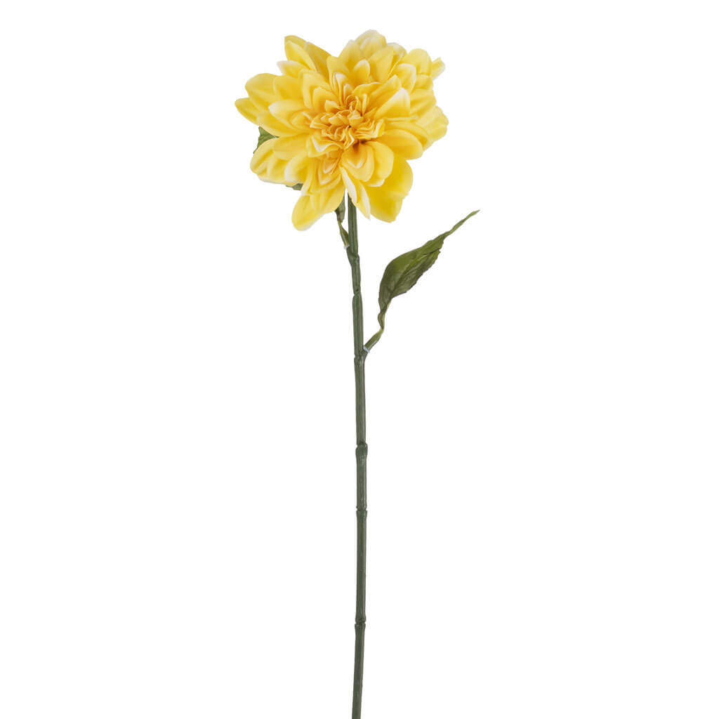 Yellow Dahlia Stem, 28in