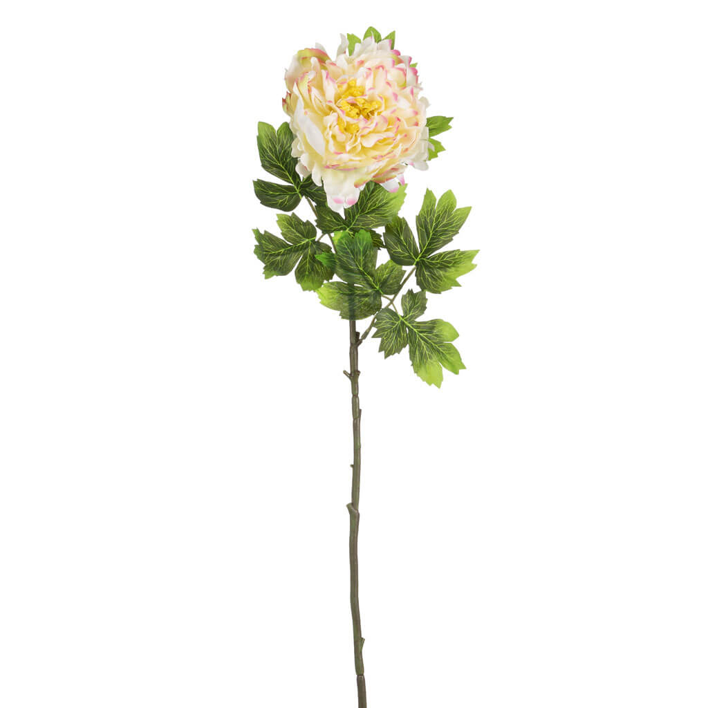 Yellow &amp; White Peony Stem, 29in