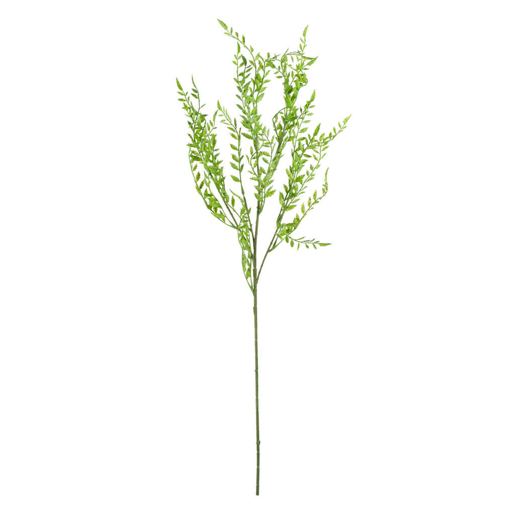 Green Fern Tips Stem, 32in