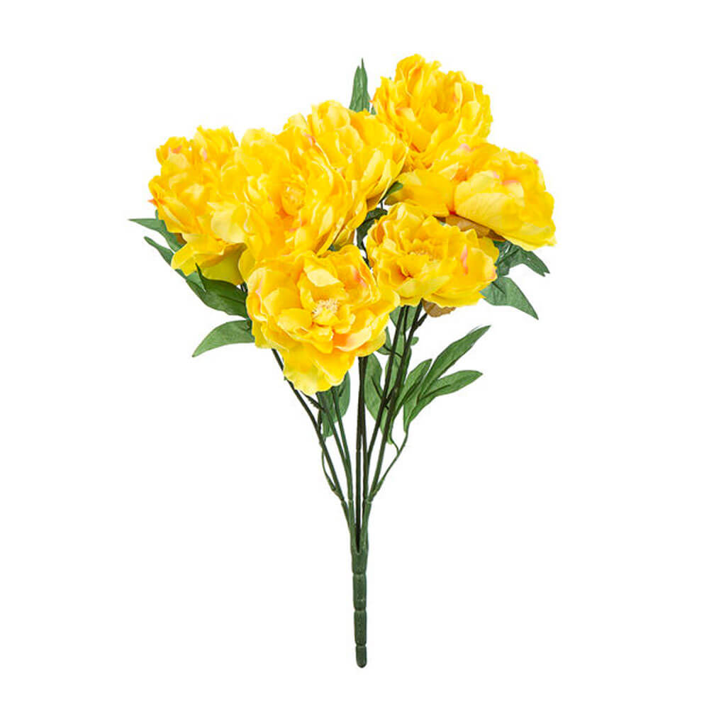 Yellow Peony Bush, 20in