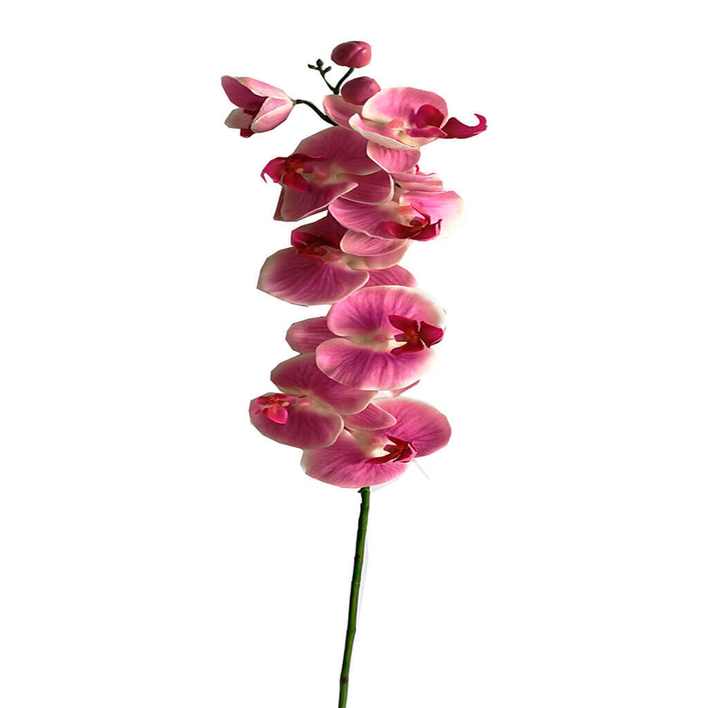 Pink Phalaenopsis Stem, 35in