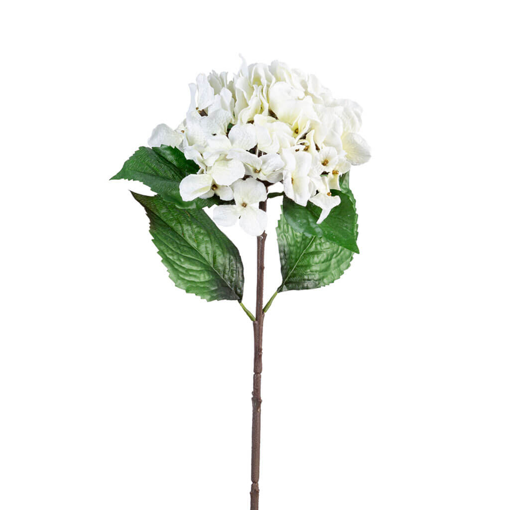 White Diamond Hydrangea Stem, 28in