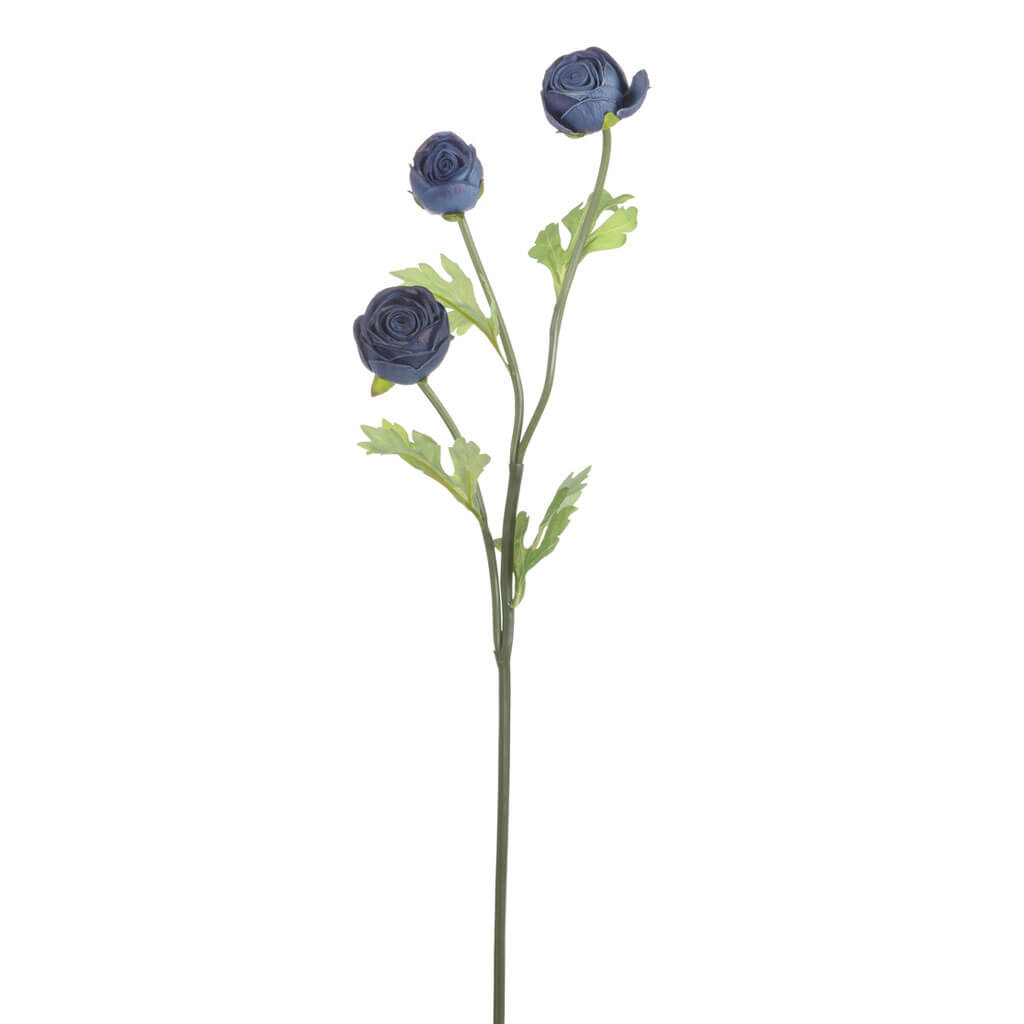 Blue Ranunculus Stem, 24.5in