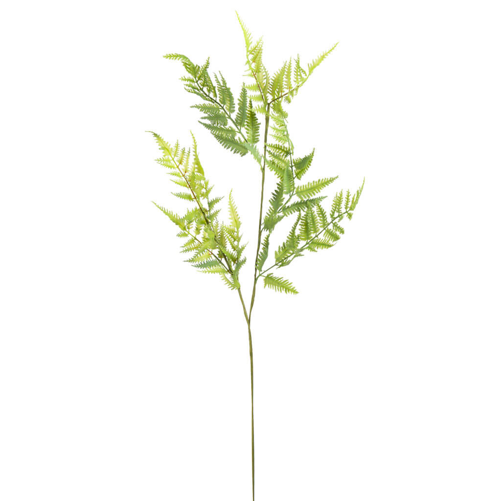 Green Fern Stem, 35in