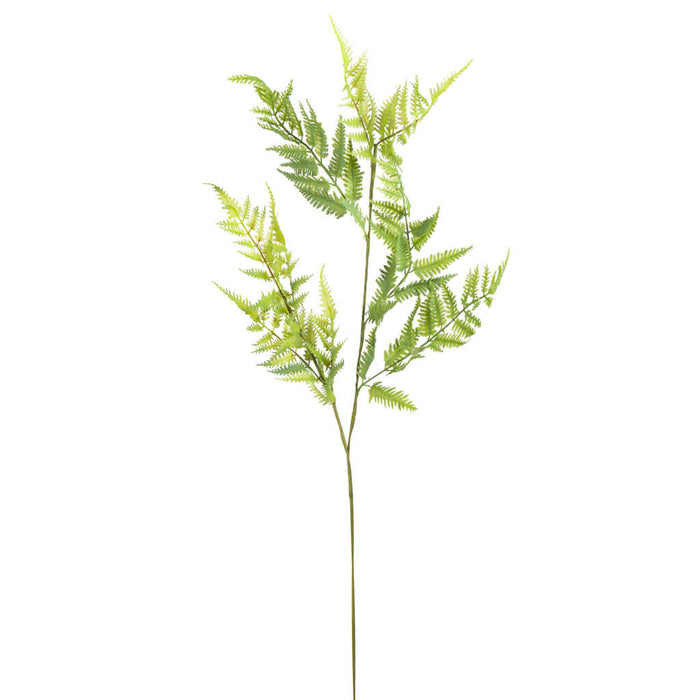 Green Fern Stem, 35in