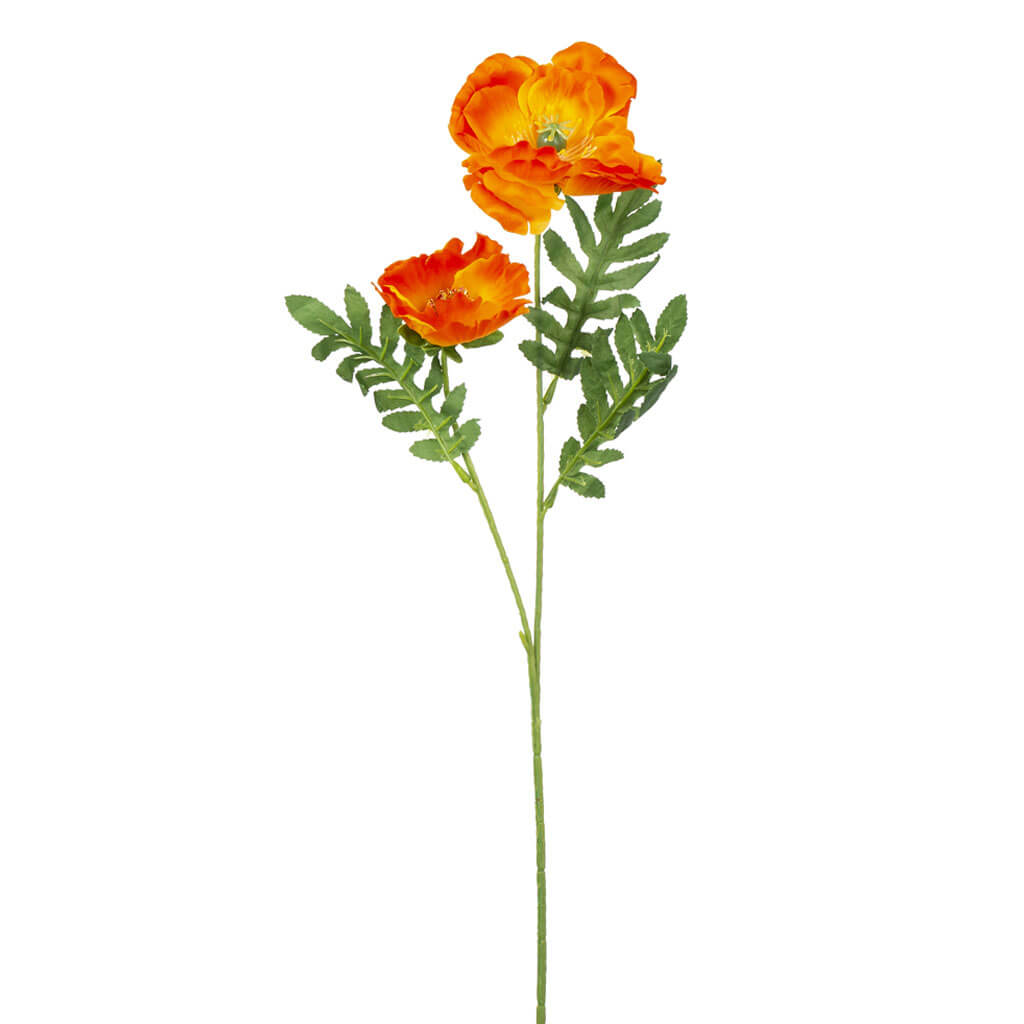 Orange Poppy Spray With 2 Flowers, 31in