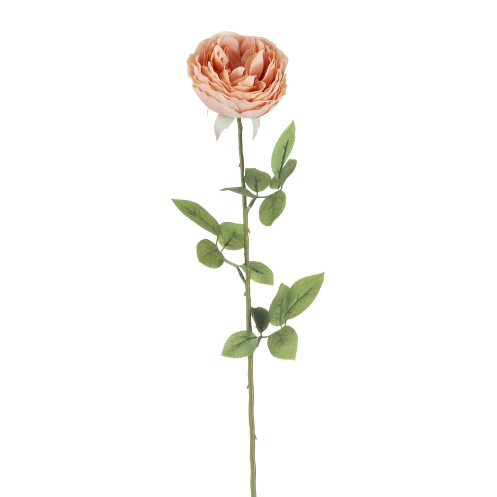 Peach Garden Rose Stem, 26.5in