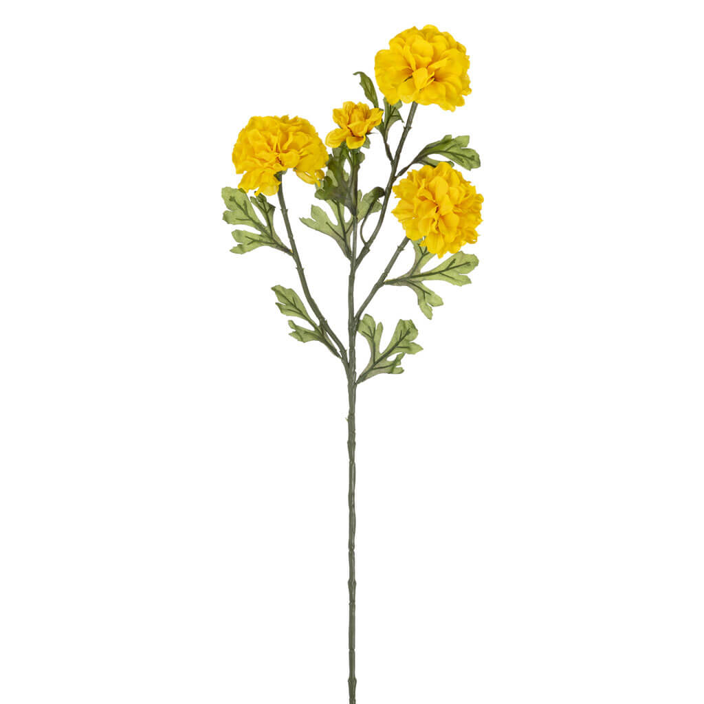 Yellow Marigold Stem, 30in