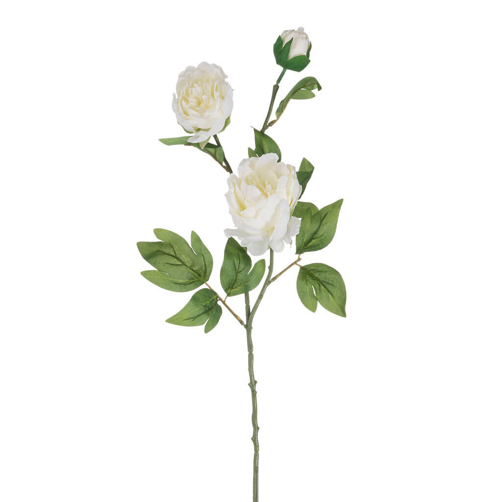 Cream Peony Stem, 27in