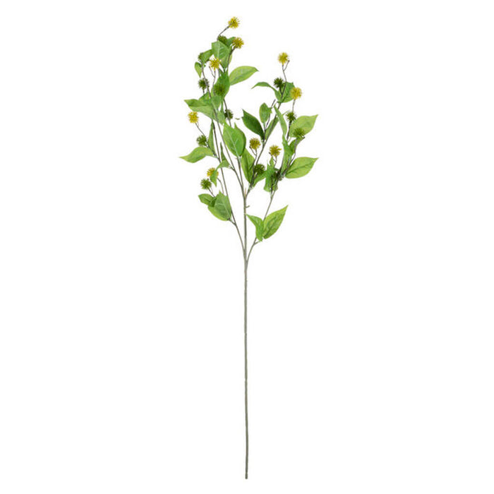 Yellow & Green Pom Pom Stem, 32.5in