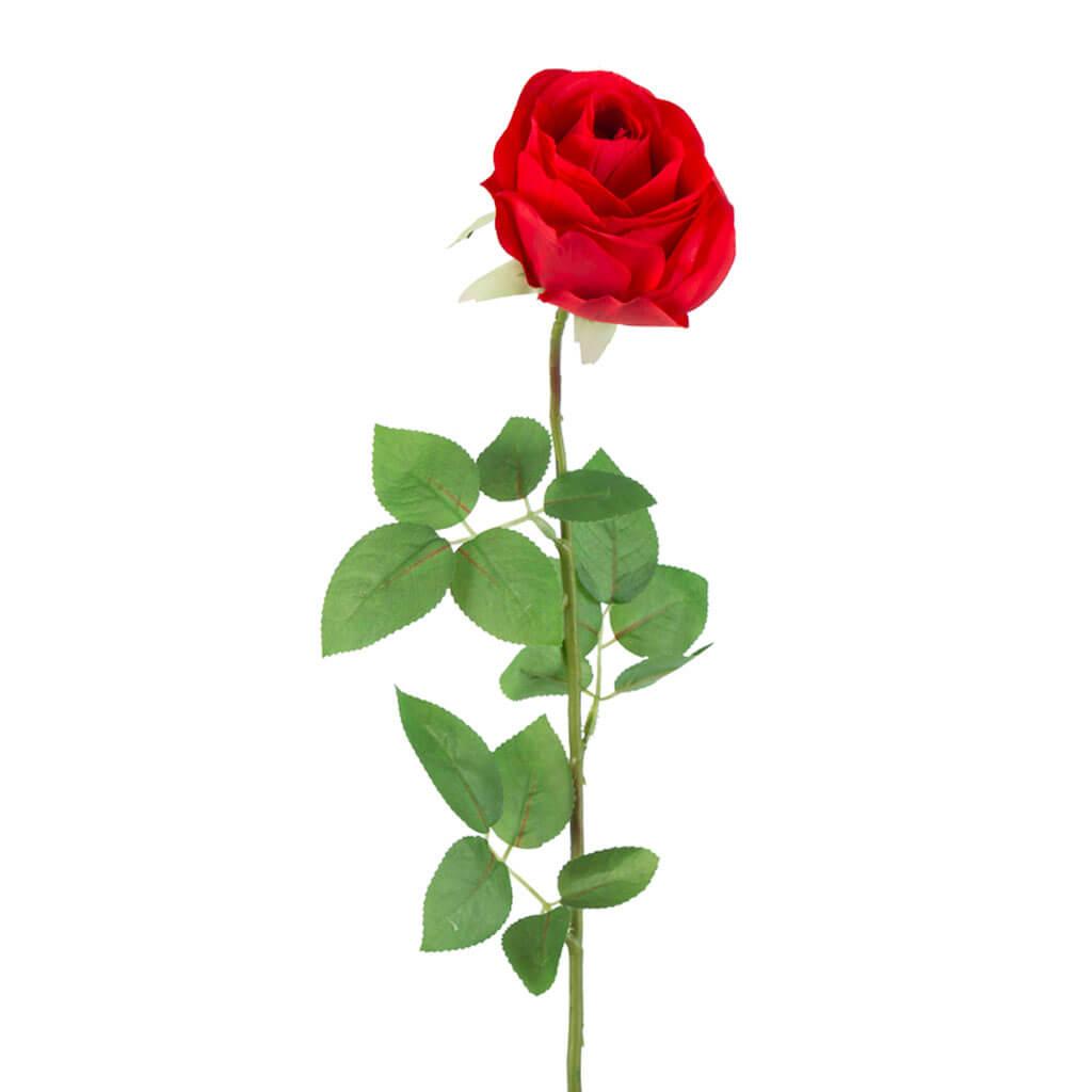 Red Confetti Rose Stem, 27in