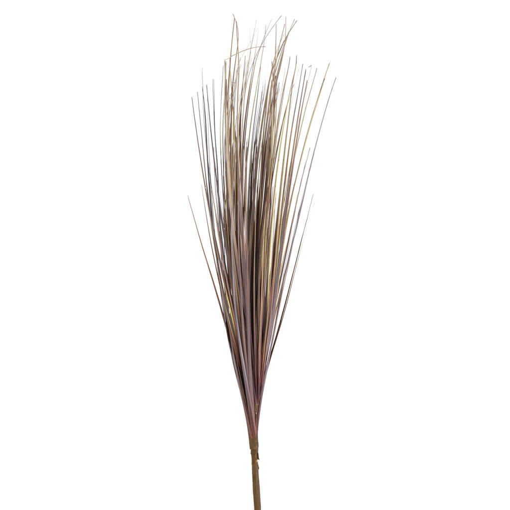 Brown Onion Grass Bush, 28in