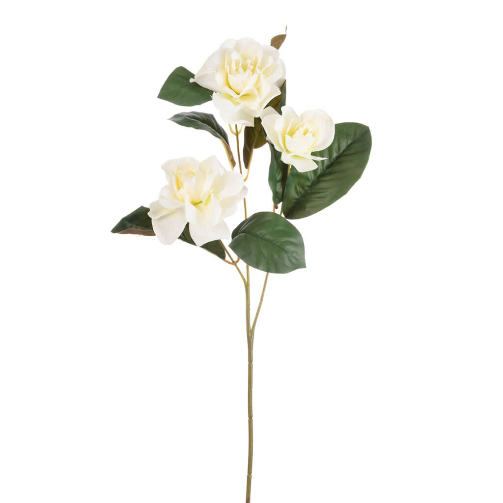 Triple White Magnolia Stem, 24.5in