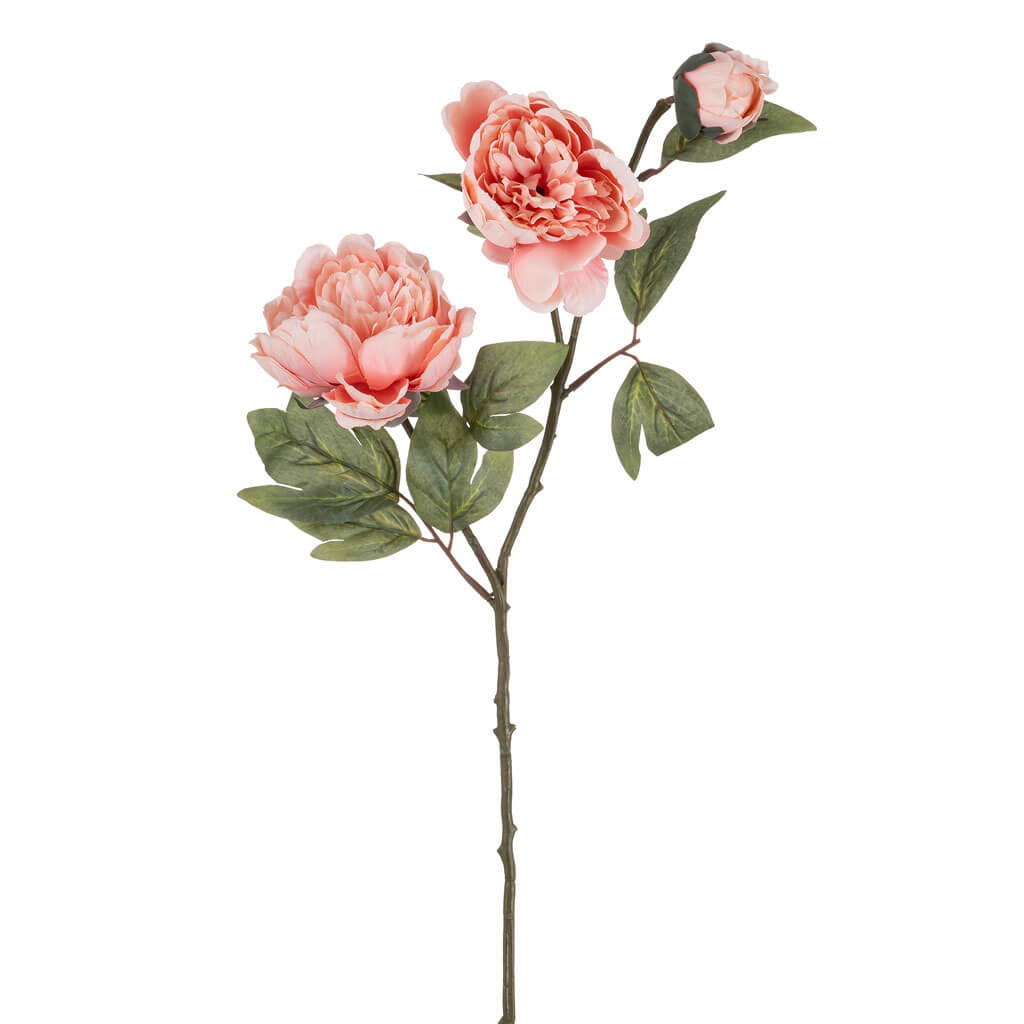 Pink Peony Stem, 27in