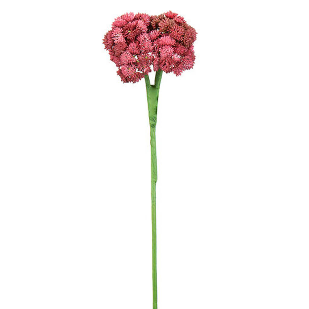 Red Sedum Stem, 19in