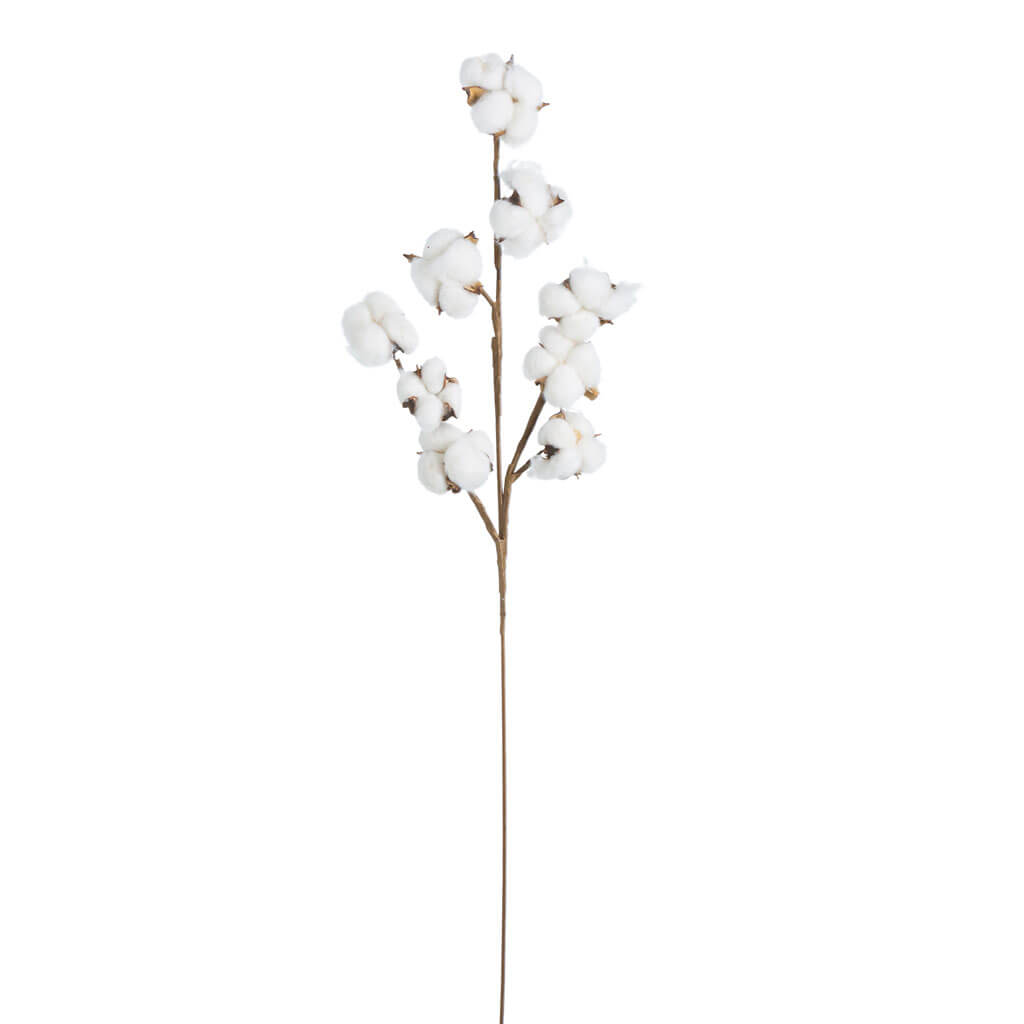 White Cotton Stem, 27.5in