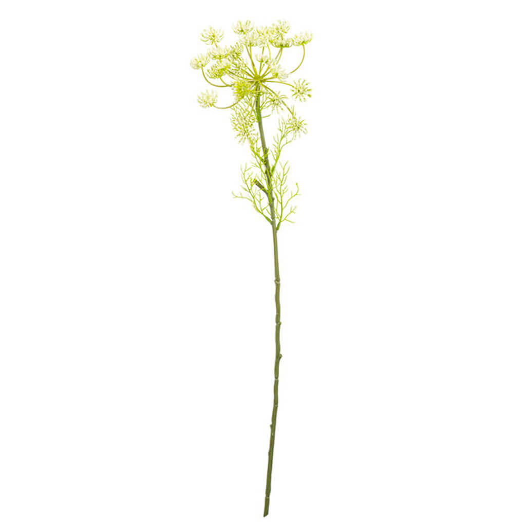 Cream Sedum Spray, 24in