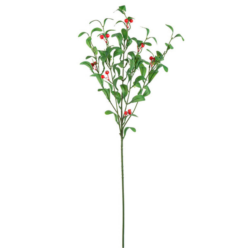 Red Berry &amp; Green Mistletoe Stem, 18in