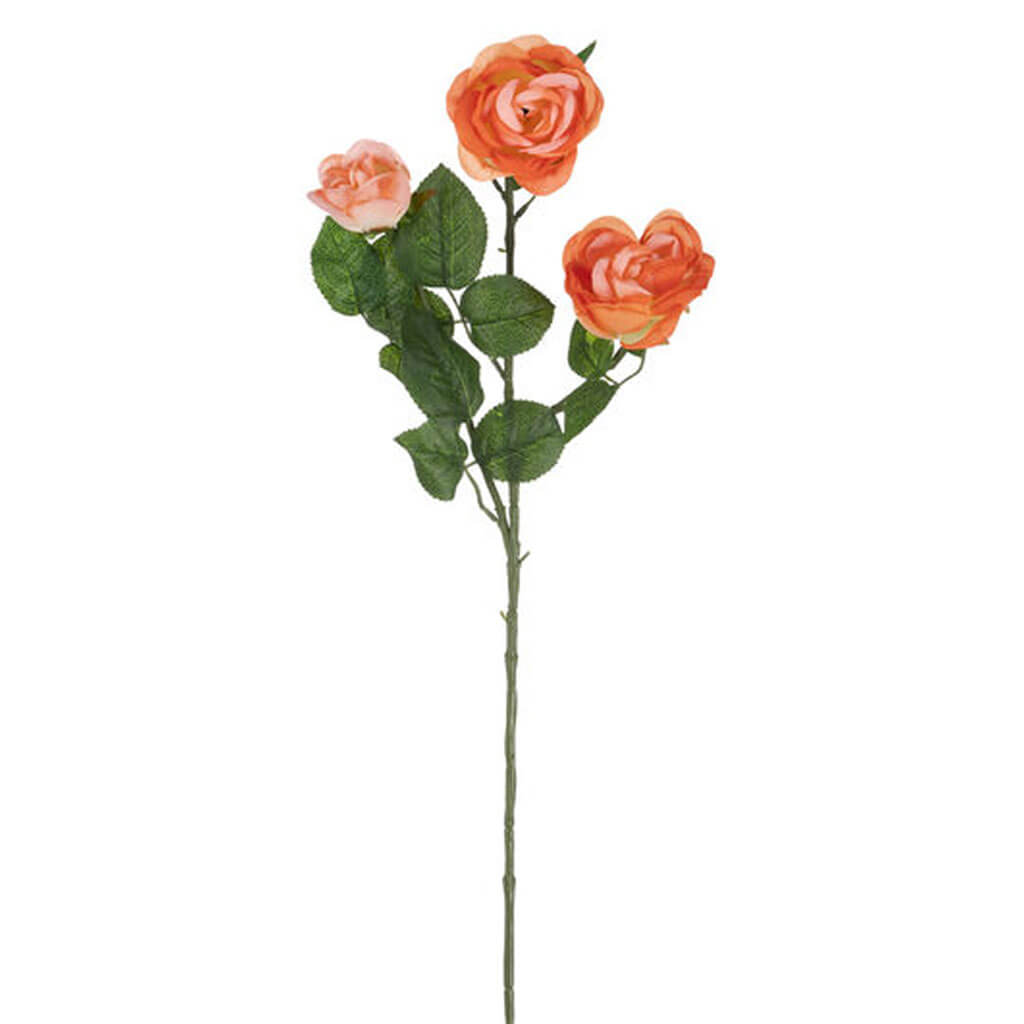 Peach Cabbage Rose With 3 Flowers, 31in