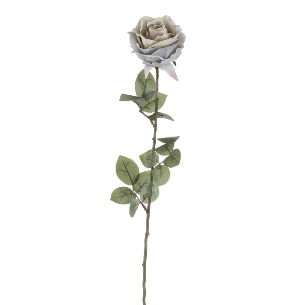 Gray Rose Stem, 27in