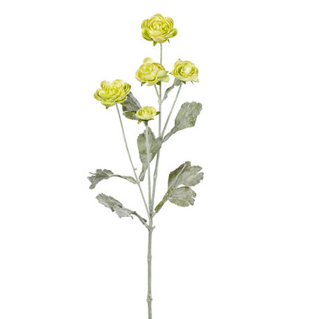 Green Ranunculus Stem, 27in