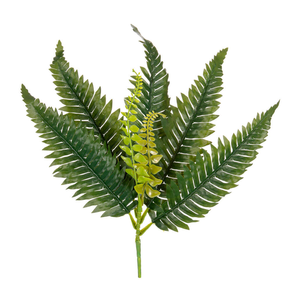 Boston Fern Pick, 15in