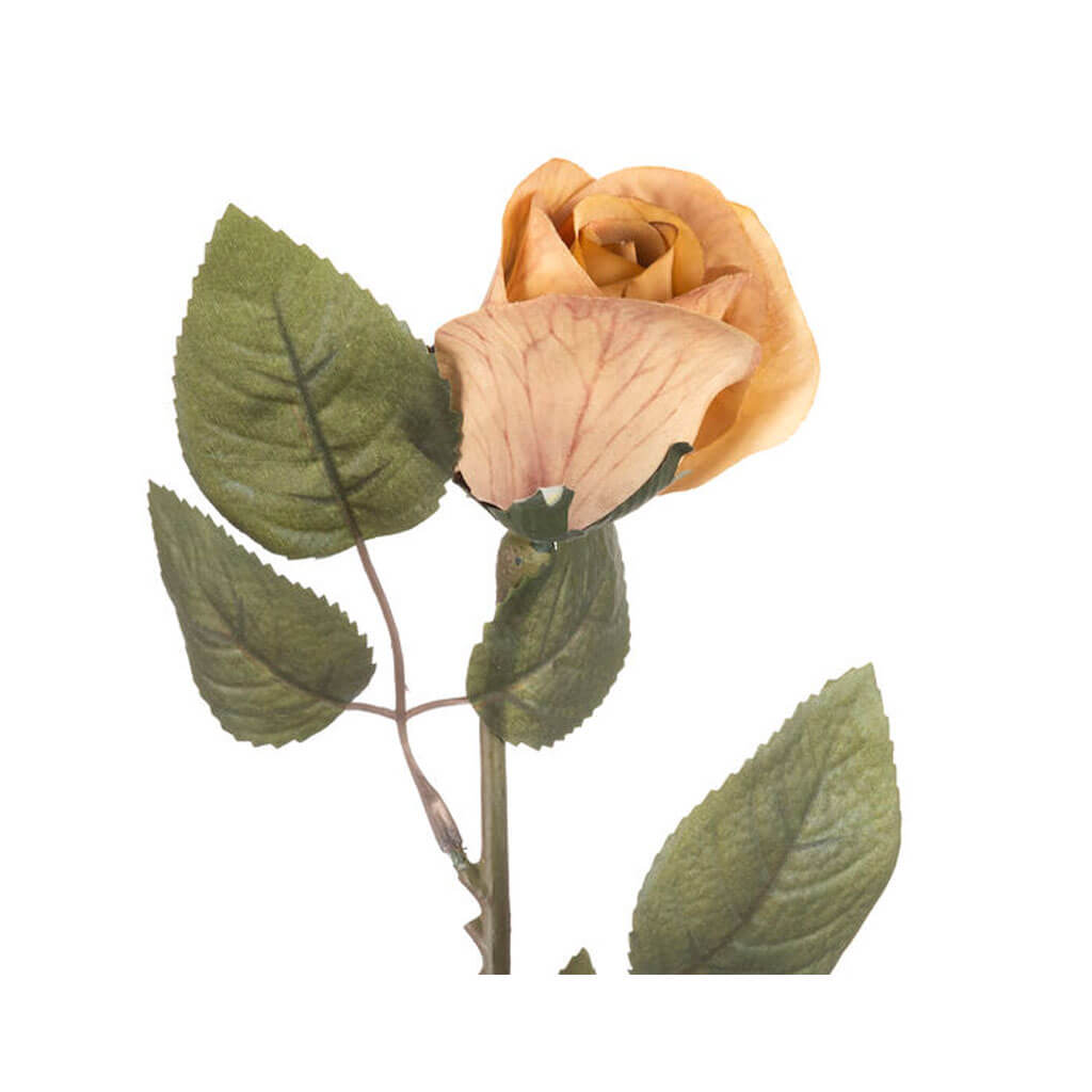 Toast Rose Bud Stem, 24.5in