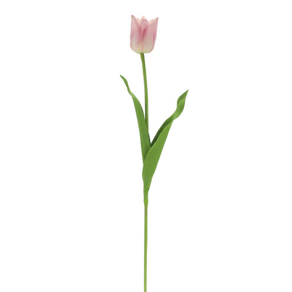 Pink Tulip Stem, 16.5in