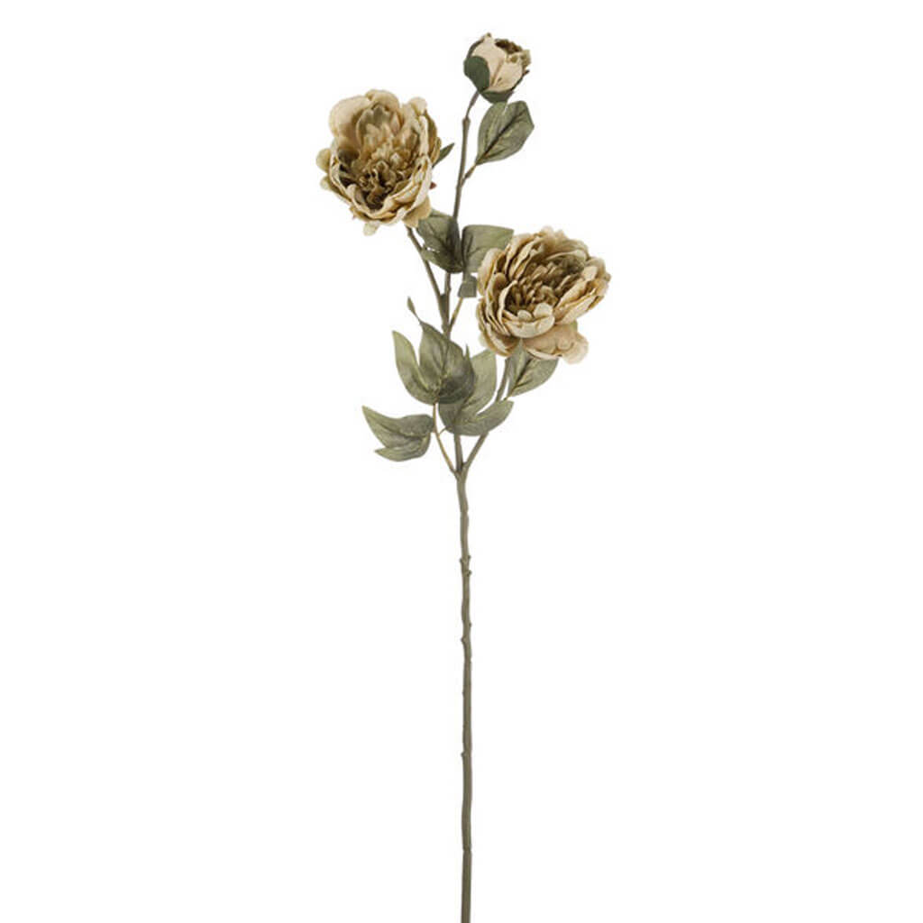 Beige &amp; Green Peony Stem, 27in