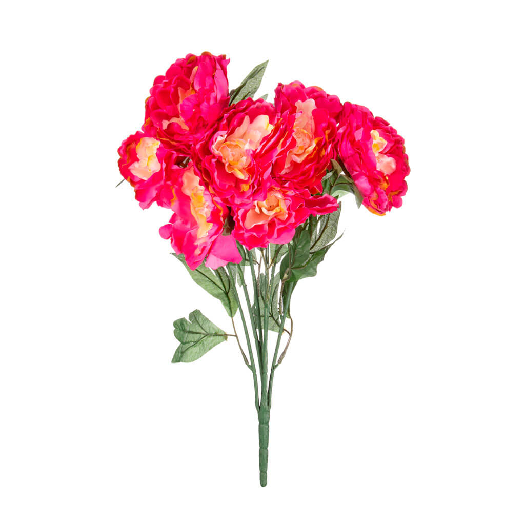 Fuchsia Peony Bush, 20in