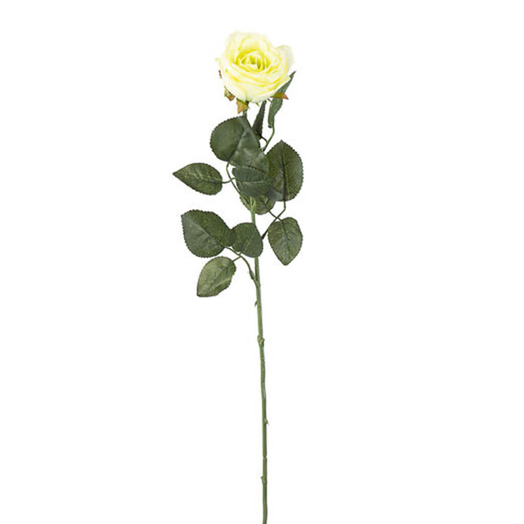 Single Cream Rose Large Bud, 29.5in