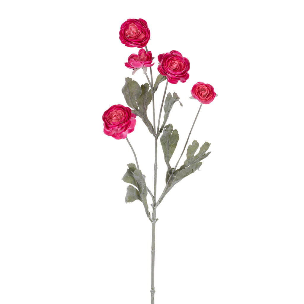 Light Fuchsia Ranunculus Stem, 27in