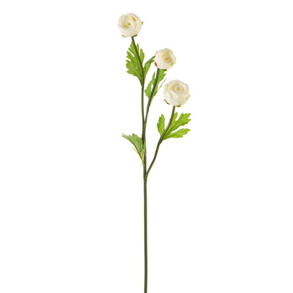 White Ranunculus Stem, 23in