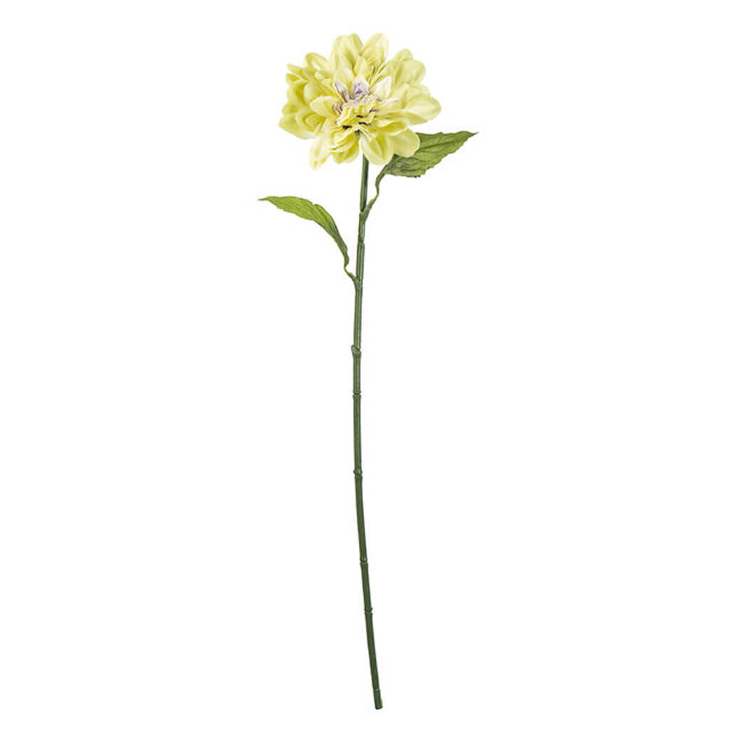 Green Grey Dahlia Stem, 28in