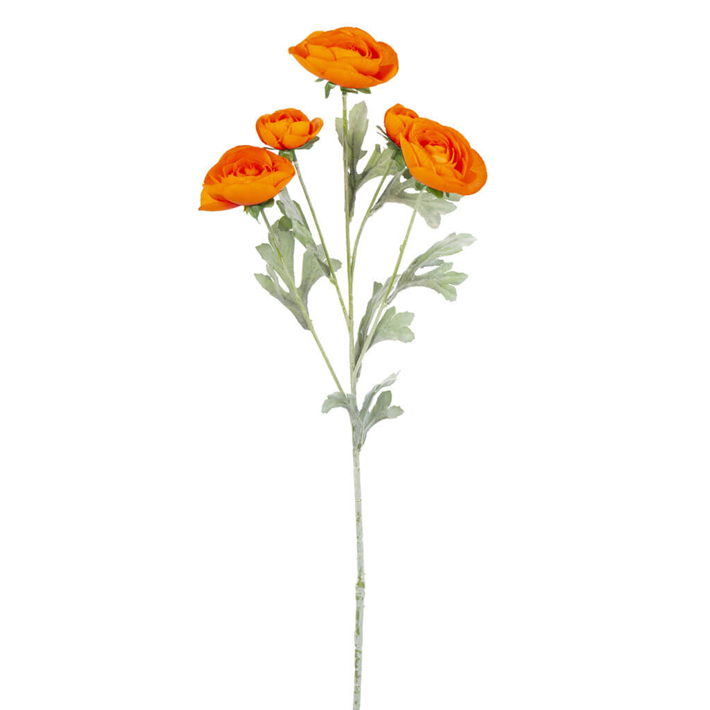 Orange Ranunculus 5 Flowers, 27in