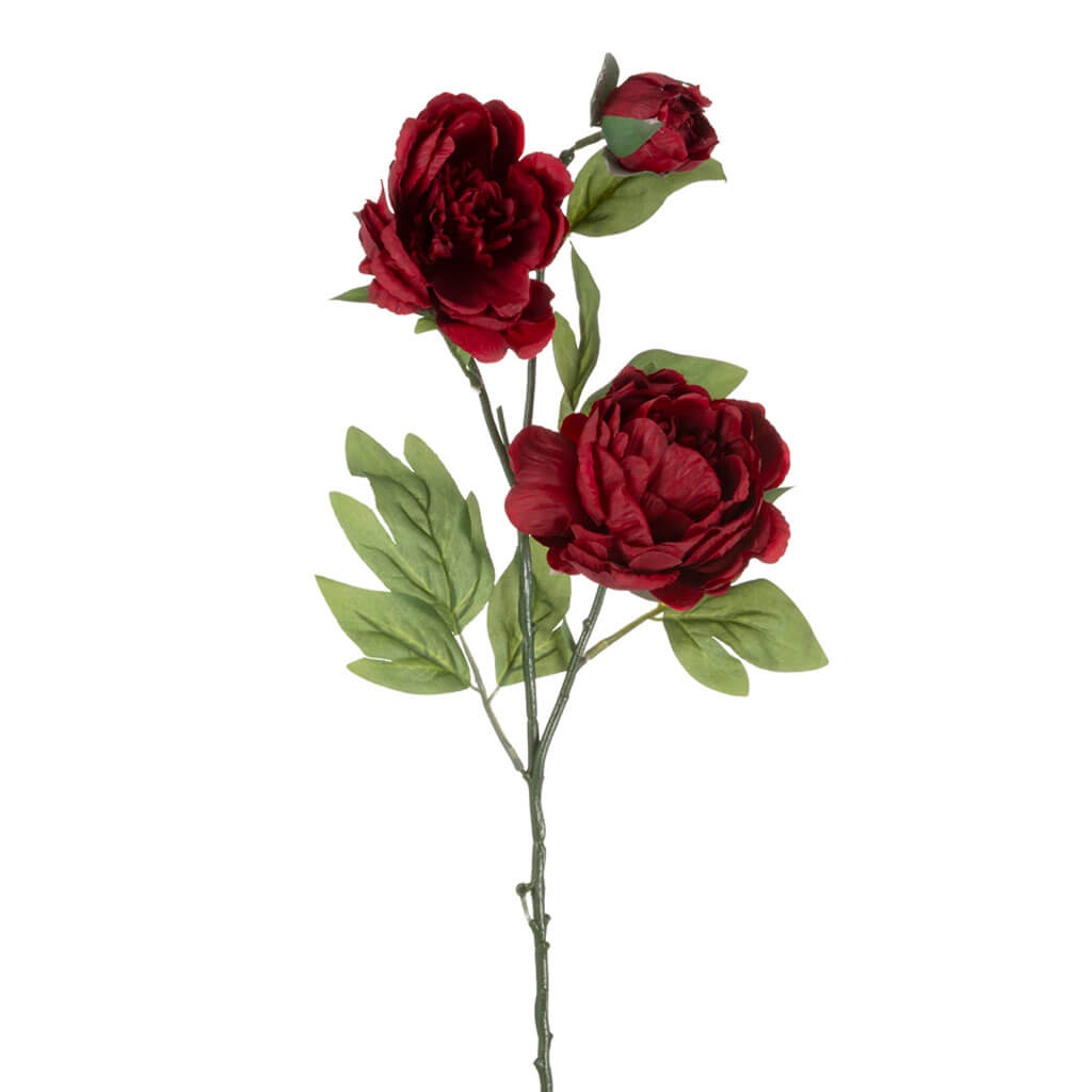 Red Peony Stem, 27in