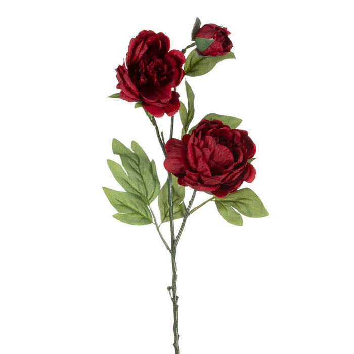 Red Peony Stem, 27in