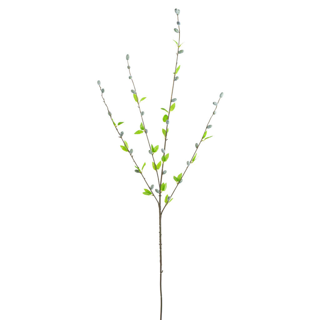 Pussy Willow Stem, 41in