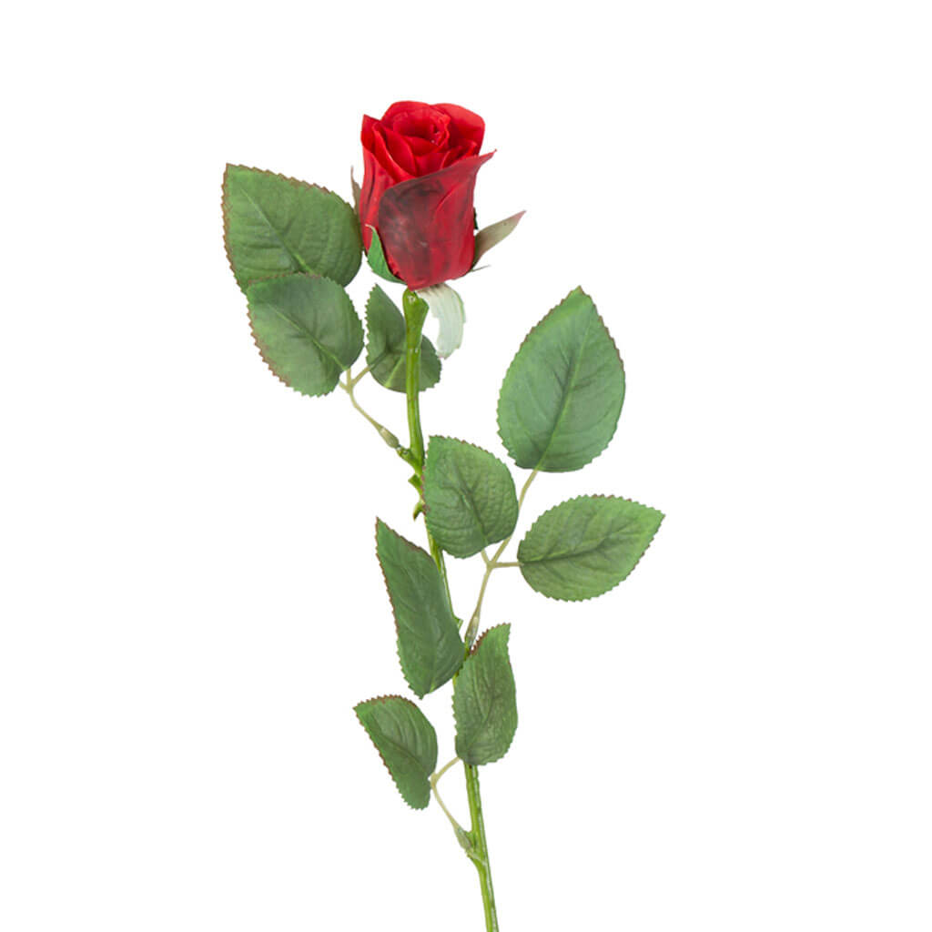 Red Rose Bud Stem, 24.5in