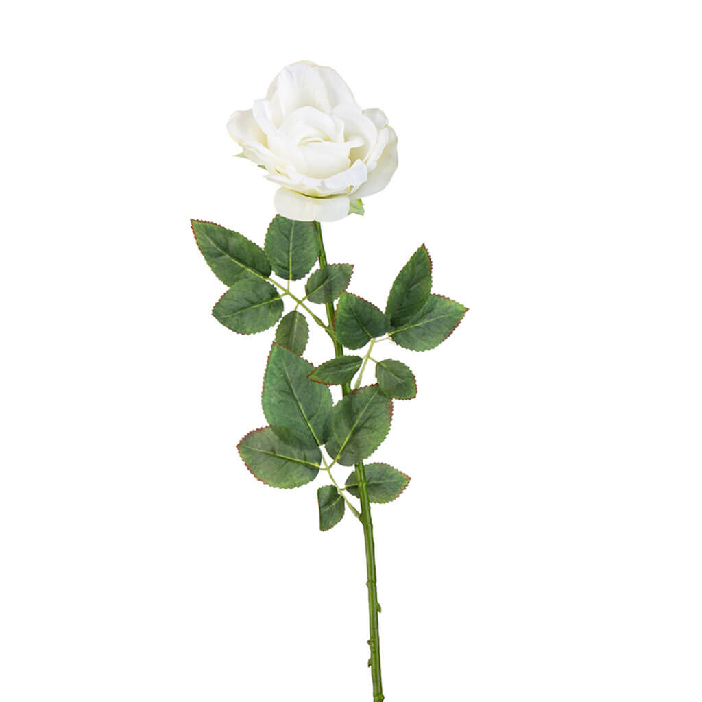 White Rose Stem, 30.5in