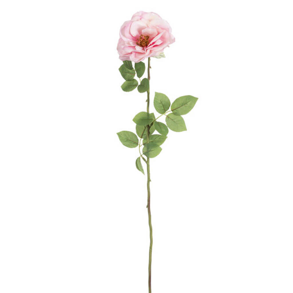 Blush Real Touch Rose Stem, 27in