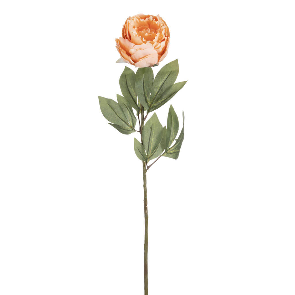 Peach Peony Stem, 32in