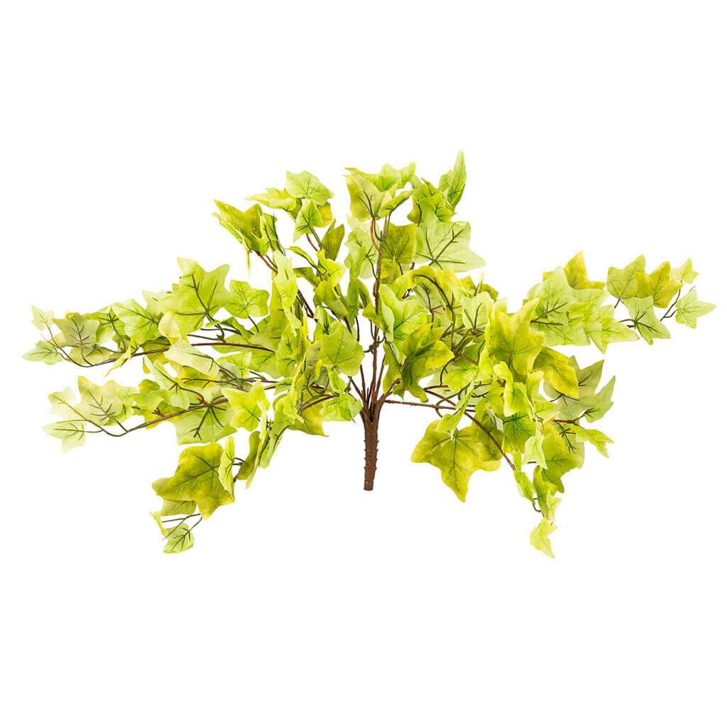 Green Hanging Puff Ivy Bush, 20in