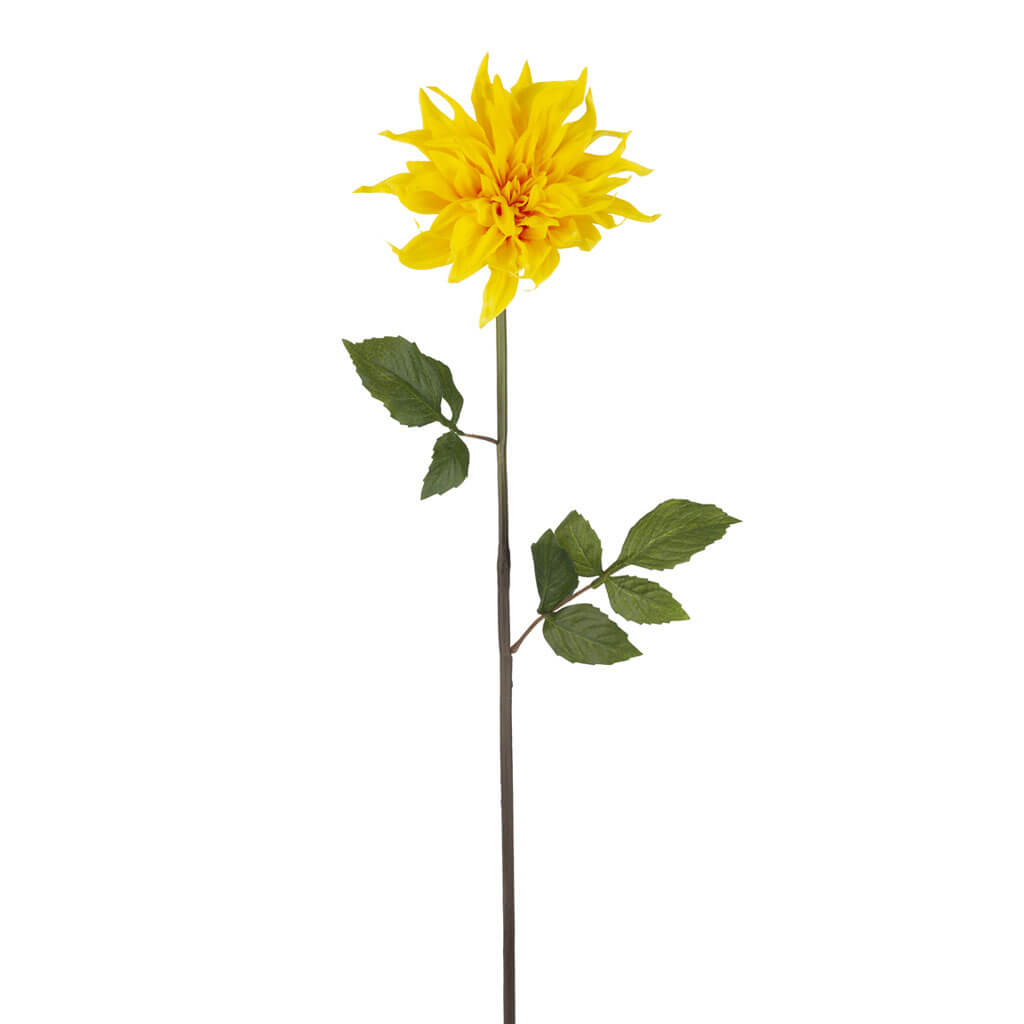 Yellow Dahlia Stem, 31in