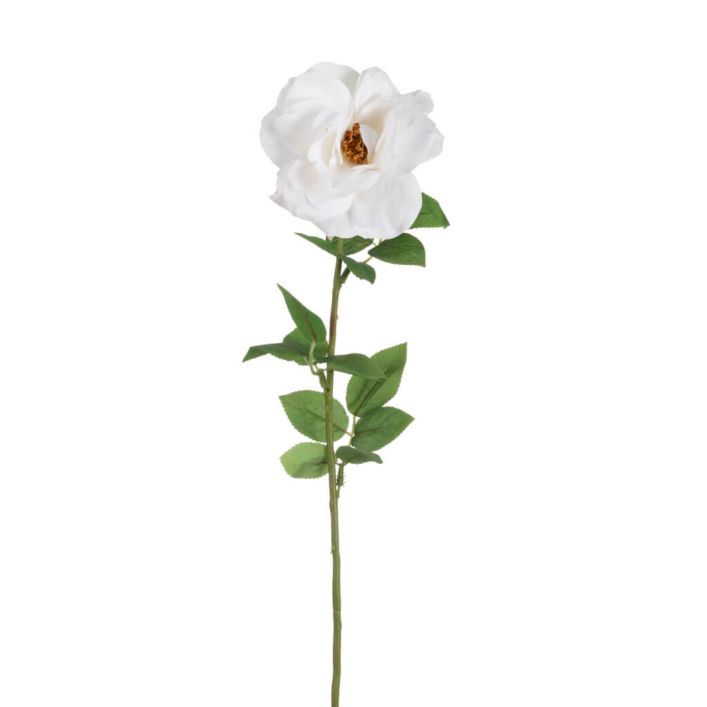 White Real Touch Wild Rose Stem, 27in