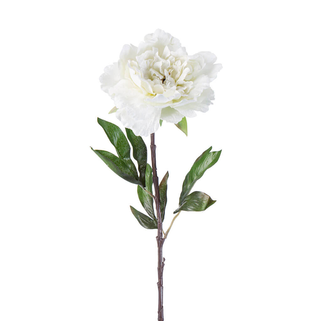 White Velvet Peony Stem, 28.5in