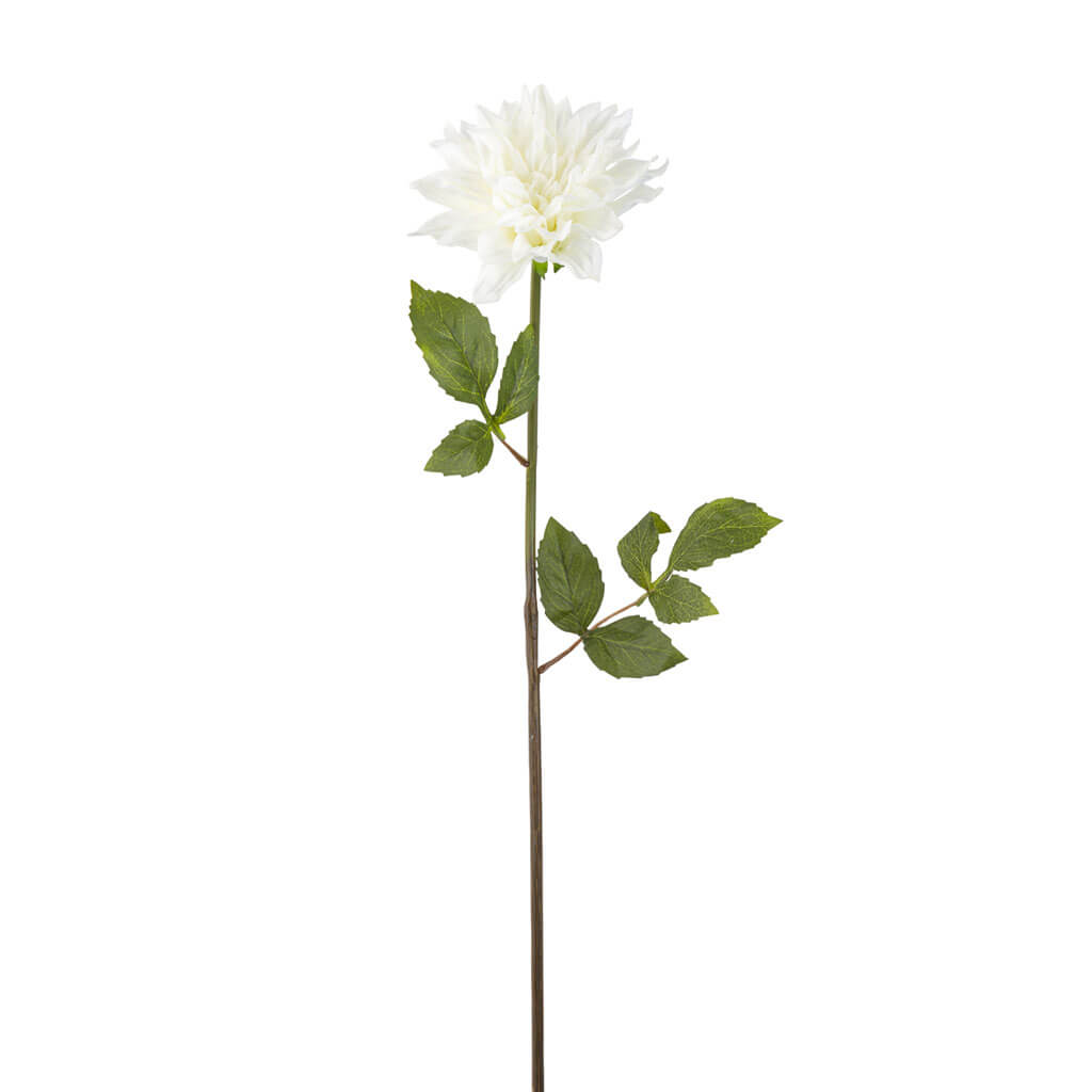 Cream Dahlia Stem, 23in