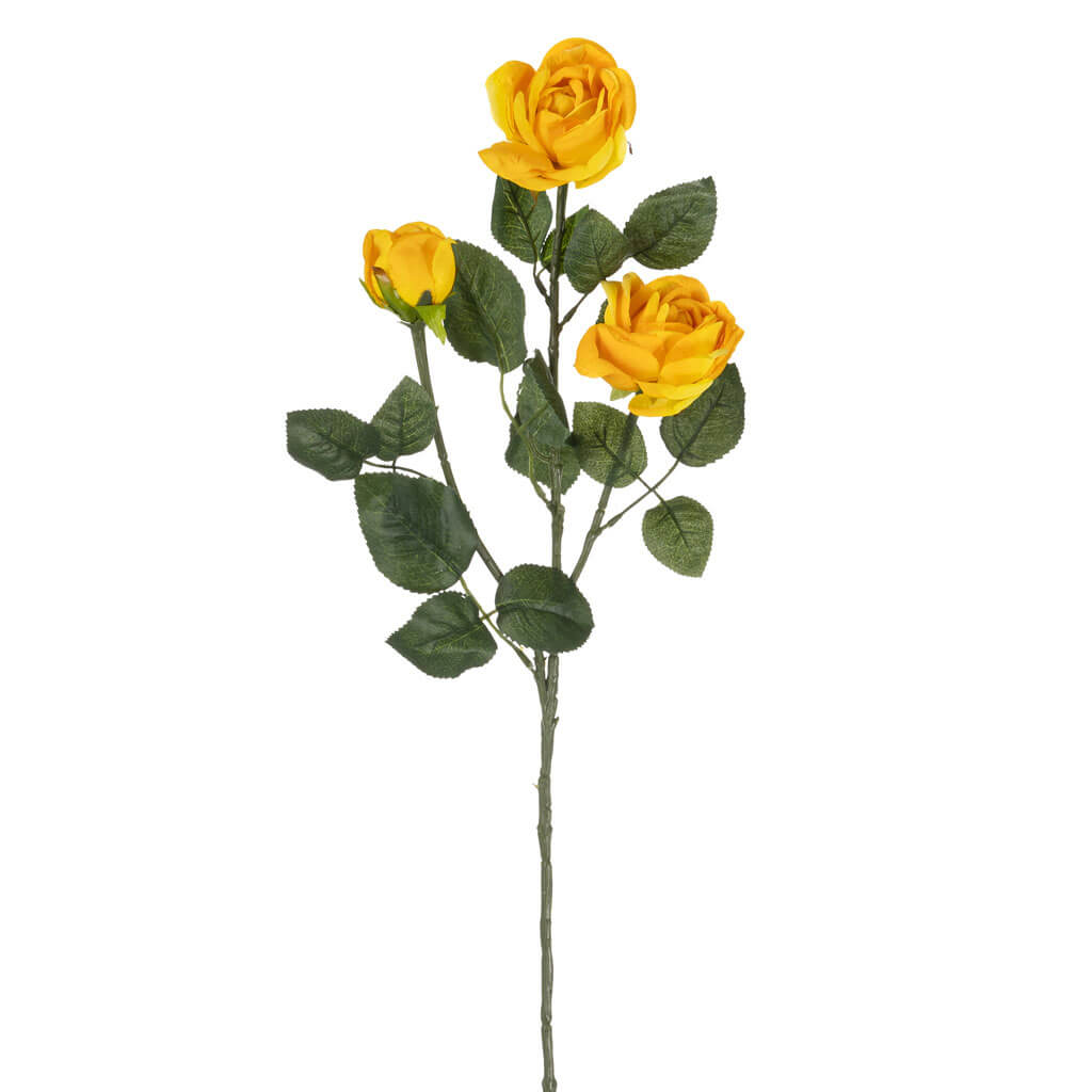 Yellow Cabbage Rose With 3 Flowers, 31in