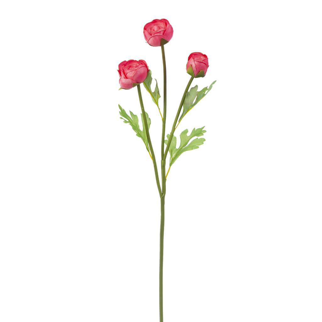 Pink Ranunculus Stem, 24.5in